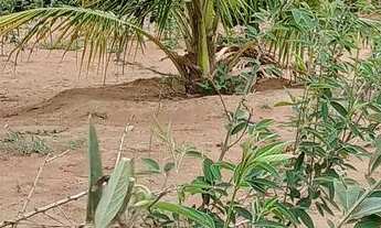 Imagem 5: Baixei para vender logo