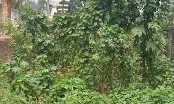 Imagem 3: Vendo Lote 450m² bairro Santa Rosa na Rua Dinarmaca a 450metros do Shopping Estação