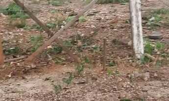 Imagem 3: Terreno 10 x40 Terreno / lote com venda por R$50.000