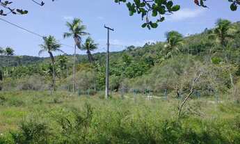 Imagem 2: Imóvel para venda possui 322000 metros quadrados em Zona Rural - Conde - BA