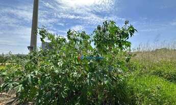 Imagem 4: Terreno à venda - Vila Real - Hortolândia/SP