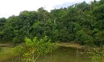 Imagem 6: OPORTUNIDADE ÚNICA - 740.000 m² COM VISTA PARA O RIO TARUMÃ - MANAUS/AM