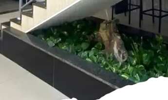 Imagem: Quarto completo, aconchegante e pronto pra