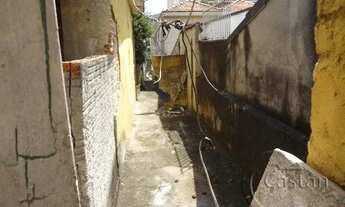 Imagem 3: Terreno pra construtor ou coml - 500 mts quadrados