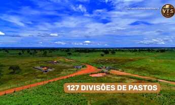 Imagem 6: FAZENDA PLANA GADO SOJA MILHO ALTO PADRÃO