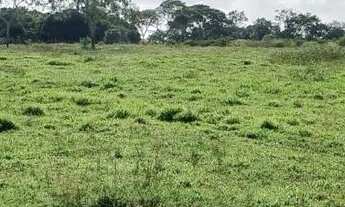 Imagem 7: Vendo excelente Fazenda em inhambupe