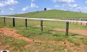 Imagem 2: Vende-se 2 Fazendas em Alto Alegre - Roraima