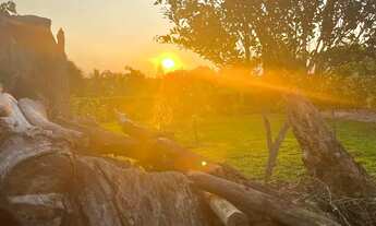 Imagem 6: ÁREA EM SÃO GONÇALO - 3520 m²