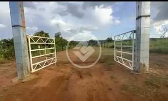 Imagem 3: Vendo Chácara de 3,5 hectares na estrada do Peba comunidade do Zélito em Chapada dos Guima