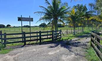 Imagem: GRUSSAÍ - Sítio na BR-356 - Curva de Grussaí