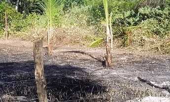 Imagem 4: Vendo terreno, localizado no Recanto dos papagaios