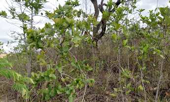 Imagem 5: Lote a venda Terreno / lote com venda por R$25.000