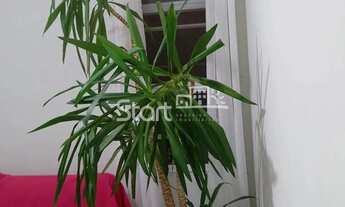 Imagem 5: Apartamento - Jardim Santa Maria (Nova Veneza) - Sumaré