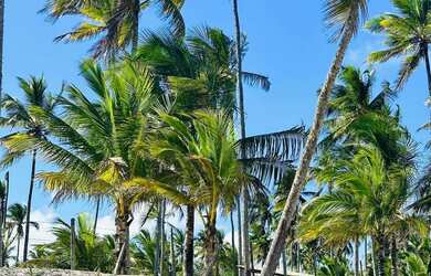 Imagem 6: Vende-se casa na Ponta da Tulha