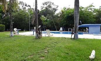 Imagem 4: Lote, Aparecida do Taboado/MS - Residencial Arara Vermelha. Área de Camping, Piscina, etc