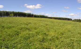 Imagem: Sorocaba Região 38 Hectares