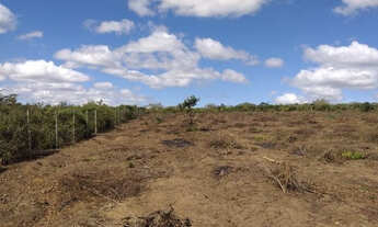 Imagem 6: Terreno de 20.000m2 no Povoado da Choça (8Km do Anel Viario