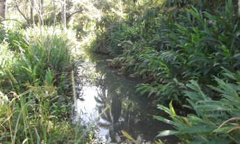 Imagem 4: Linda fazenda sem sede, de 82 hectares, * WhtsApp Guilherme