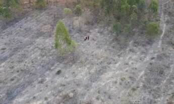 Imagem 3: Terreno 4000M2 - Planalmira - Escriturado