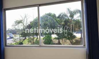 Imagem 7: Locação Apartamento 1 quarto Trindade Florianópolis