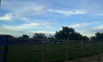 Imagem 7: Fazenda com 50 hectares estruturada na região de Monte Alegre