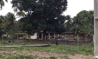 Imagem 4: Excelente terreno de granja em São José de mipibu - RN