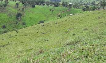 Imagem 3: Fazenda 42 alqueiro