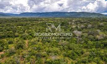 Imagem: Chácara bruta a venda com 60.000m² a 500m