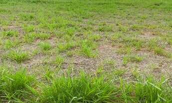 Imagem 3: TERRENO SETLIFE 2 A VENDA