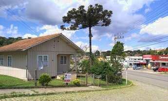 Imagem 6: EXCELENTE TERRENO COMERCIAL AS MARGENS DA BR 280 - VILA NOVA - RIO NEGRINHO SC