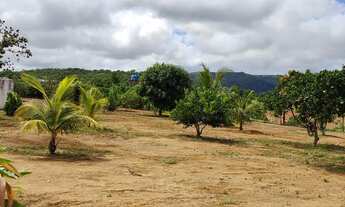 Imagem 4: Fazenda na região de Rosário oeste