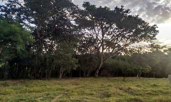 Imagem 5: Sítio, chácara 2 hectares 21 mil metros