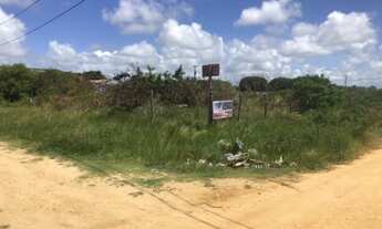 Imagem 2: Lote/Terreno para venda no Loteamento Praia dos Coqueiros - Frente Leste