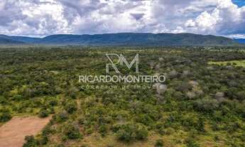 Imagem 2: Chácara bruta a venda com 60.000m² a 500m do asfalto, região de Taquaruçu