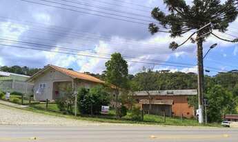 Imagem 5: EXCELENTE TERRENO COMERCIAL AS MARGENS DA BR 280 - VILA NOVA - RIO NEGRINHO SC