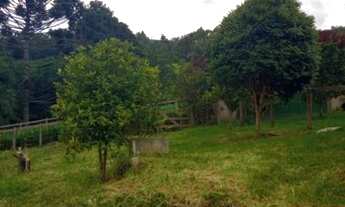 Imagem 7: Chácara contendo 500m² em Delfim Moreira - Sul de Minas Gerais