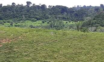 Imagem 5: Fazenda 42 alqueiro