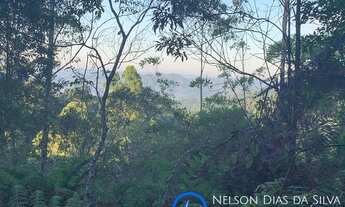 Imagem 3: Ótima oportunidade....03 (tres) áreas com 20.000m² em São Lourenço da Serra