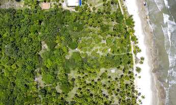 Imagem 6: Bah702 - Terreno em Ilhéus