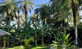 Imagem 3: Vendo belíssima chacara no Caldas!