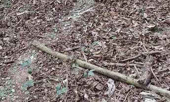 Imagem 3: PROMOÇÃO 50.000,00 AVISTA OS LOTES DE 1000m²