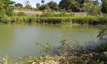 Imagem: Fazenda à venda em Goianápolis