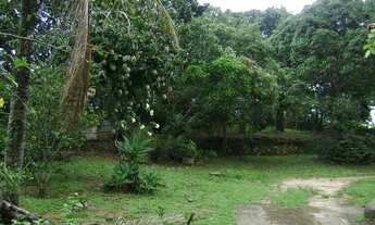 Imagem 3: OPORTUNIDADE! SITIO DE LAZER - 4.350 M2 - RIO DE AREIA - BACAXA - SAQUAREMA - RJ