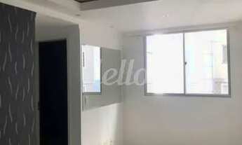 Imagem 2: Santo André - Apartamento Padrão - Vila Homero Thon