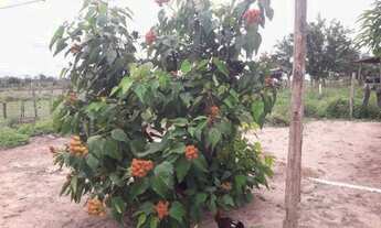 Imagem 5: Vendo sitio em Castanhal