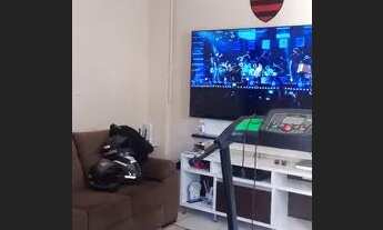 Imagem: Alugo apartamento no Castelo Branco!!