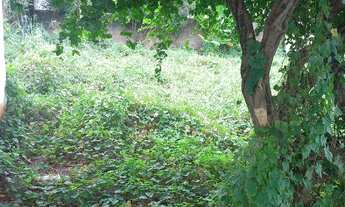 Imagem 6: Casa 03 quartos Casa com 3 dormitórios