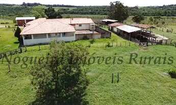 Imagem 3: Fazenda em Itapetininga, rica em água (Nogueira Imóveis Rurais