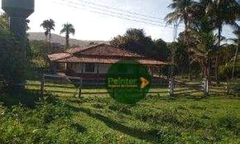 Imagem 6: Fazenda à venda, 82 hectares por R$ 3.200.000 - Zona Rural - Luziânia/GO