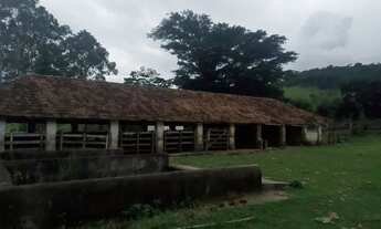 Imagem 3: FAZENDA RURAL em AREIAS - SP, CENTRO
